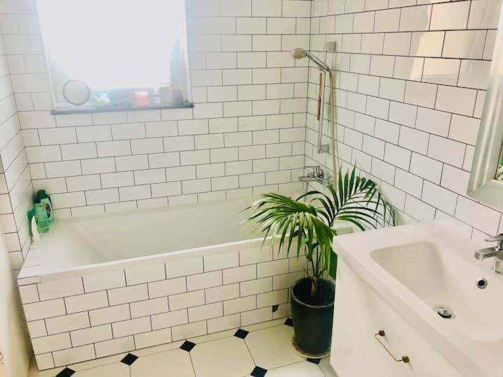 Stylowy Apartament W Centrum Miasta Bydgoszcz Exteriör bild